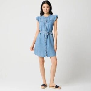 NWT J. Crew Factory Women’s Ruffle-Sleeve Denim Mini Dress Size 6 ($118 Retail)